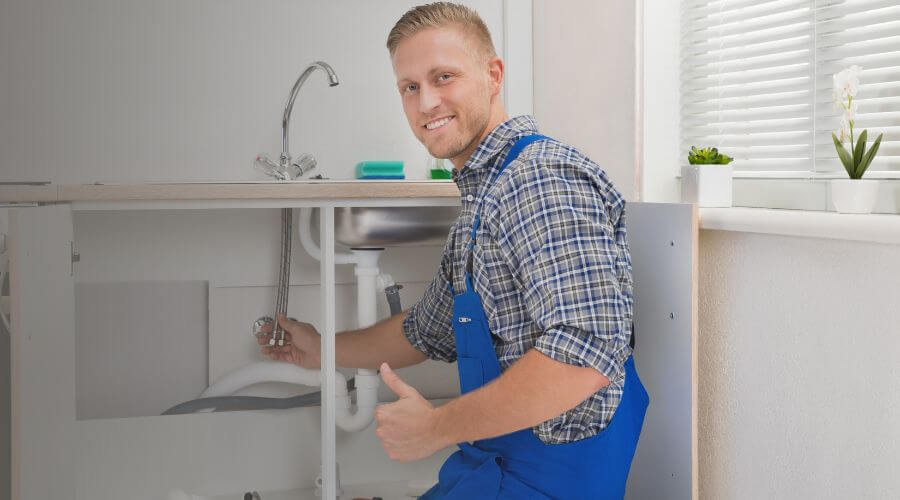 Holiday Plumbing Service in Justice, IL
